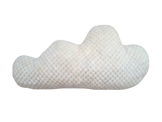Snow cloud